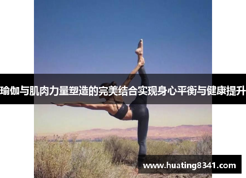 瑜伽与肌肉力量塑造的完美结合实现身心平衡与健康提升