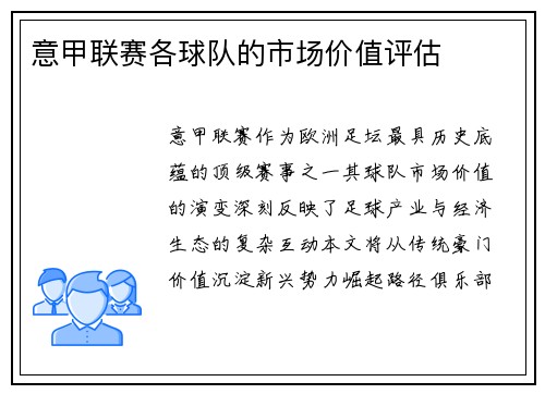 意甲联赛各球队的市场价值评估