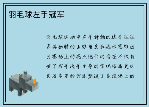 羽毛球左手冠军